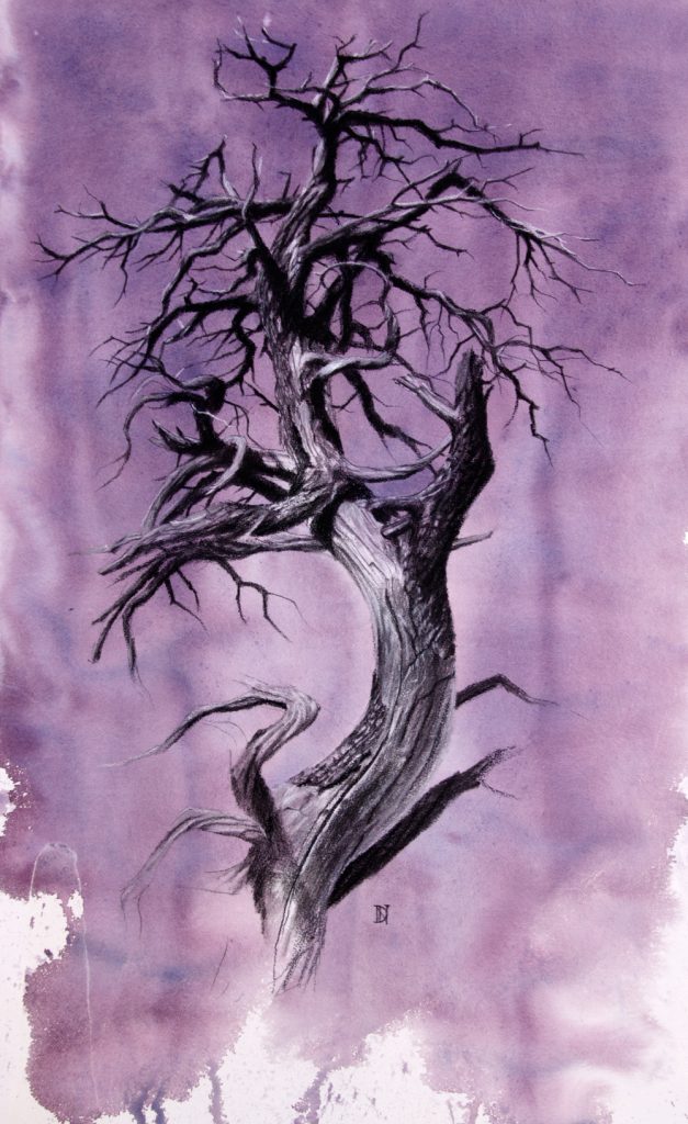 spirit