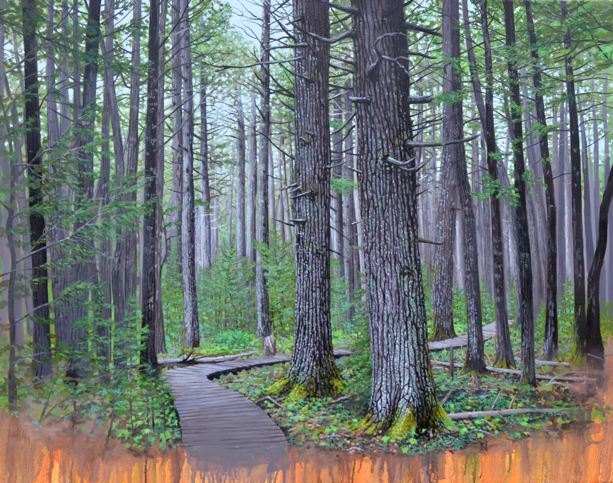 Old Growth Hemlock Forest painting